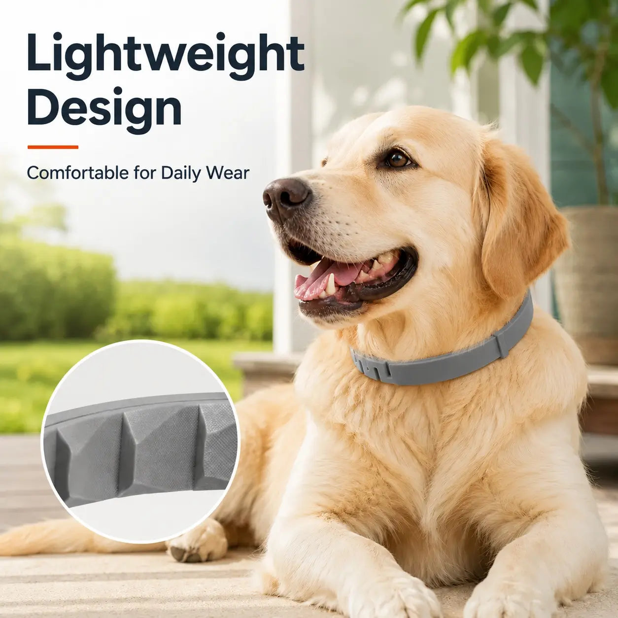 Cat wearing the smaller size of the adjustable collar