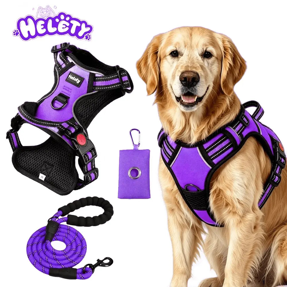 Dog wearing the padded no-pull harness during a walk