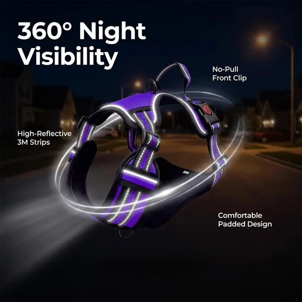 HELETY Purple 3-In-1 No-Pull Dog Vest Harness & Leash Set, Adjustable S-XL Sizes, Dual Front & Back D-Ring Clips, 360° 3M Reflective, Padded Chest, Oxford Fabric, Night Safety, Built-In Poop Bag Holder, Tangle-Free Cooling Step-Design Strap Running Bungee