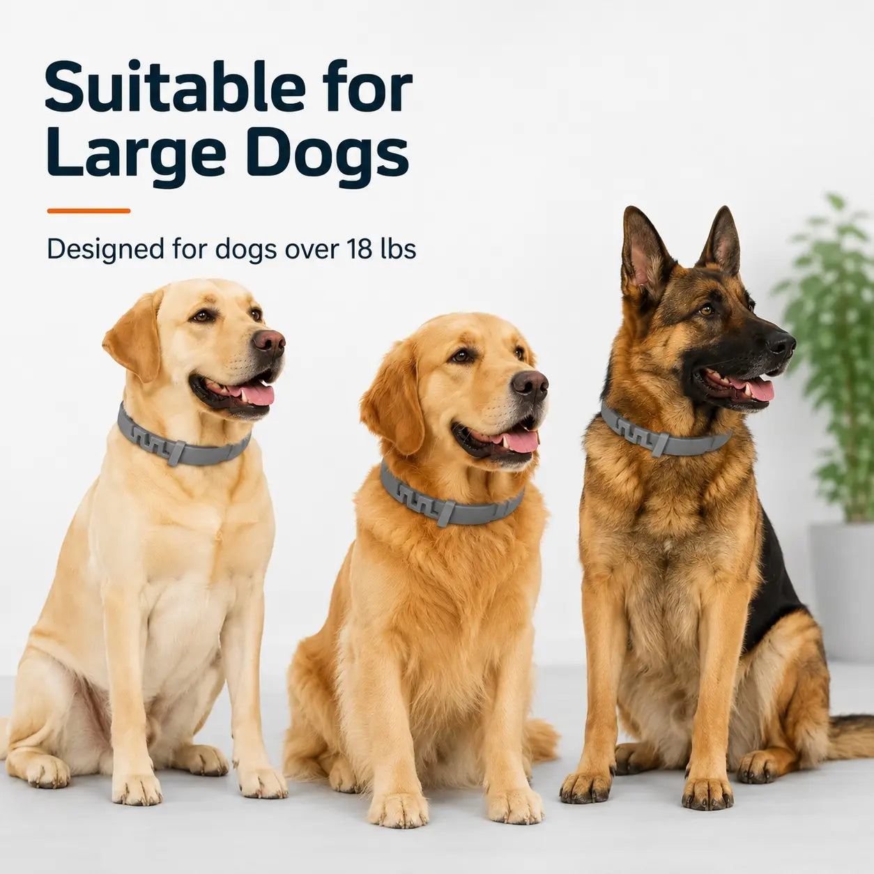 Adjustable Lightweight Dog Collar for Large Breeds Over 18 lbs with Fresh Scent for Daily Wear and Outdoor Activities