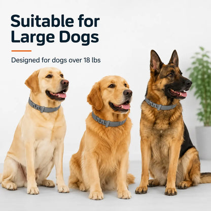 Adjustable Lightweight Dog Collar for Large Breeds Over 18 lbs with Fresh Scent for Daily Wear and Outdoor Activities