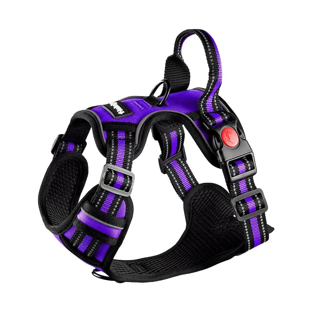 HELETY Purple 3-In-1 No-Pull Dog Vest Harness & Leash Set, Adjustable S-XL Sizes, Dual Front & Back D-Ring Clips, 360° 3M Reflective, Padded Chest, Oxford Fabric, Night Safety, Built-In Poop Bag Holder, Tangle-Free Cooling Step-Design Strap Running Bungee