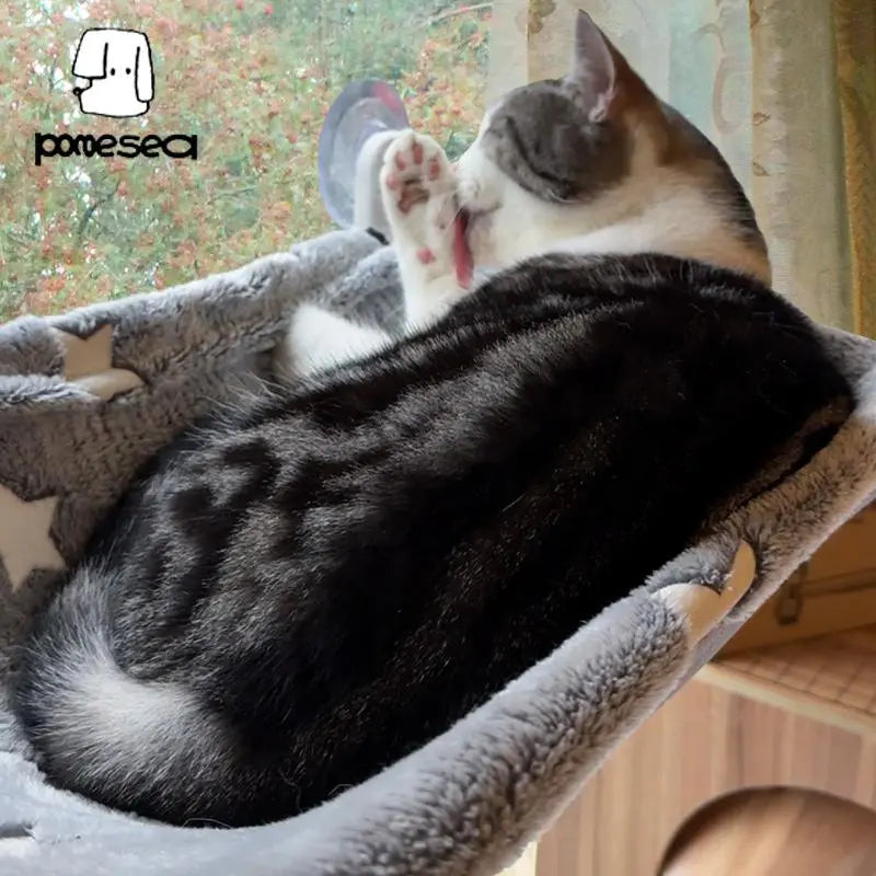 Cat sunbathing in the foldable window hammock during the day