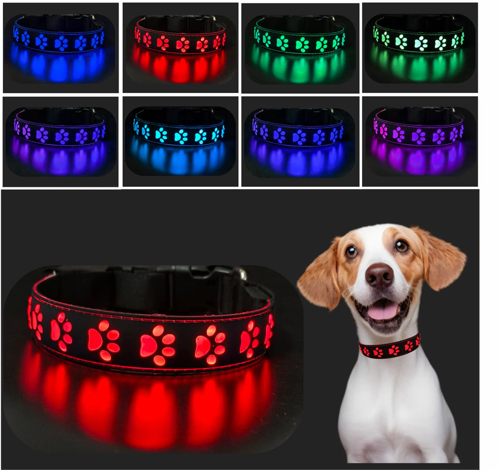 LED illuminated dog collar glowing with multicolor paw print design