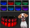LED illuminated dog collar glowing with multicolor paw print design