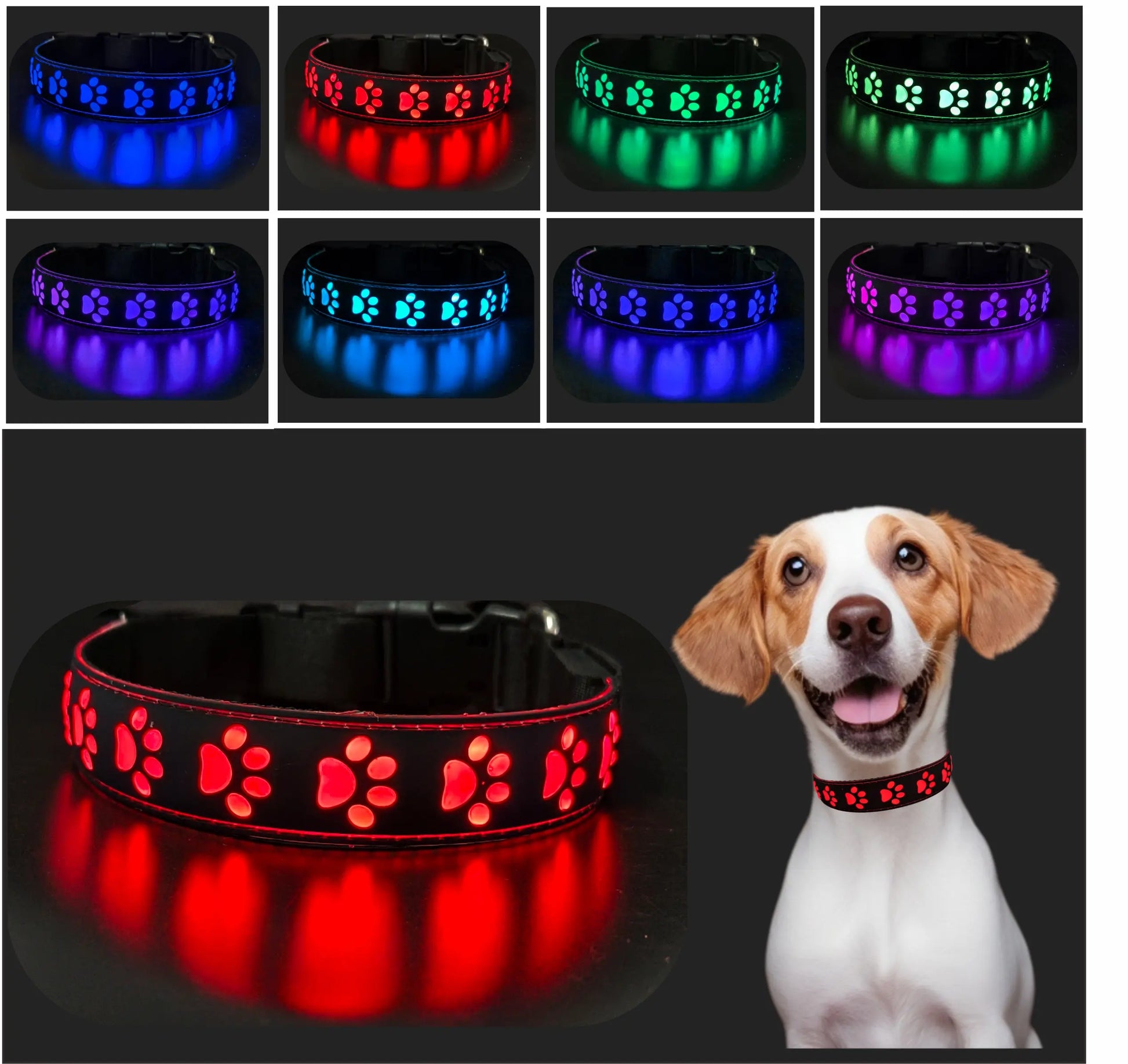 LED Illuminated Dog Collar with USB-C Rechargeable Multicolor Paw Print Design for Enhanced Night Safety and Style