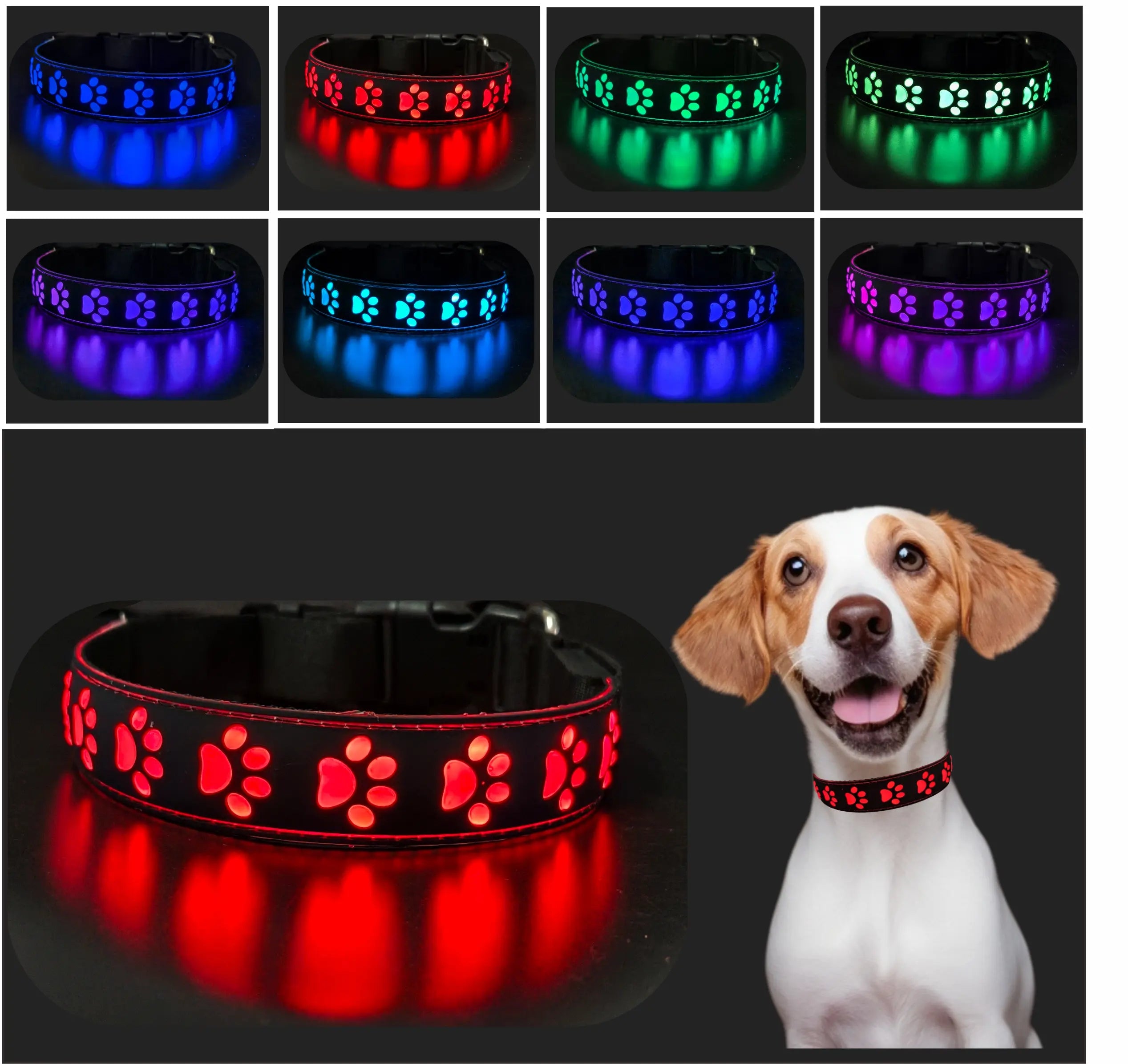 LED illuminated dog collar glowing with multicolor paw print design