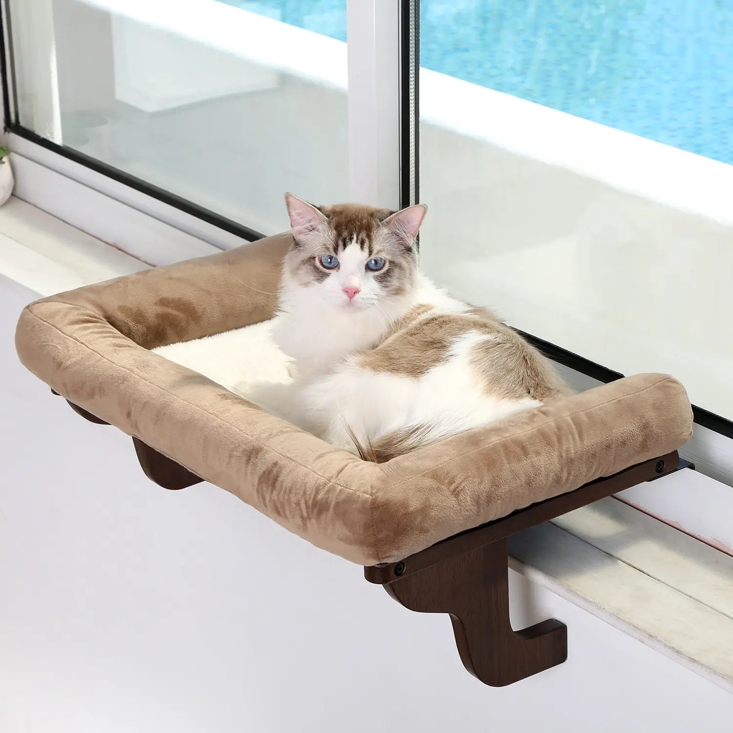 Zakkart Cat Perch for Window Sill with Bolster - Orthopedic Hammock Design with Premium Hardwood & Robust Metal Frame - Cat Window Seat for Large Cats and Kittens