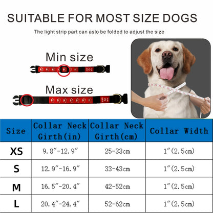 LED Illuminated Dog Collar with USB-C Rechargeable Multicolor Paw Print Design for Enhanced Night Safety and Style