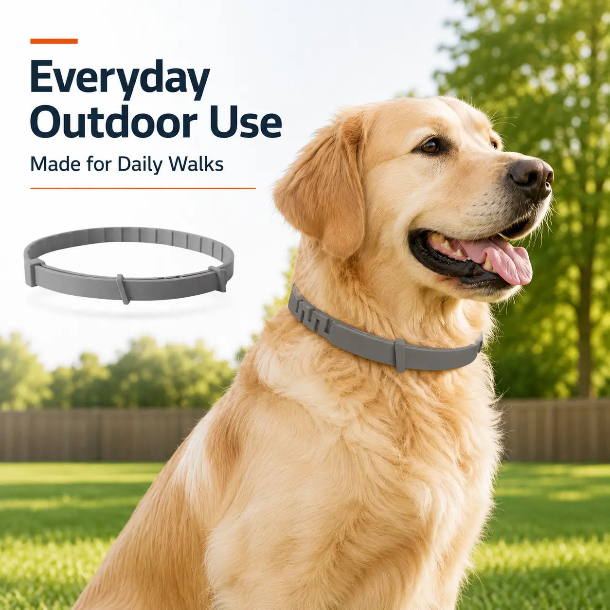 Dog collar color range including orange, black and gray