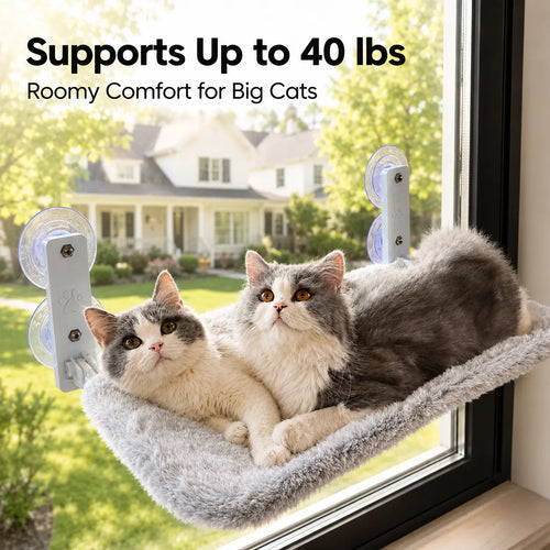 Cat window hammock mounted on glass showing the strong suction cups