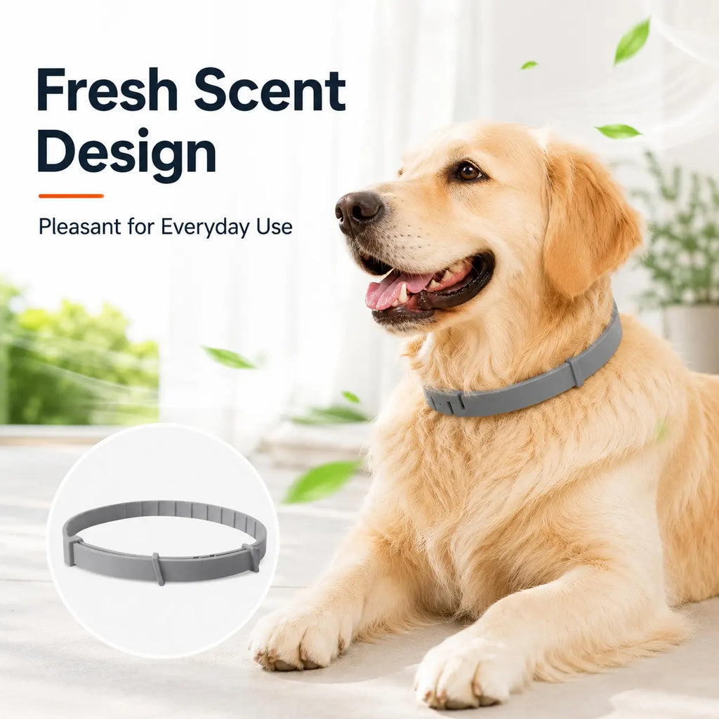 Adjustable Lightweight Dog Collar for Large Breeds Over 18 lbs with Fresh Scent for Daily Wear and Outdoor Activities
