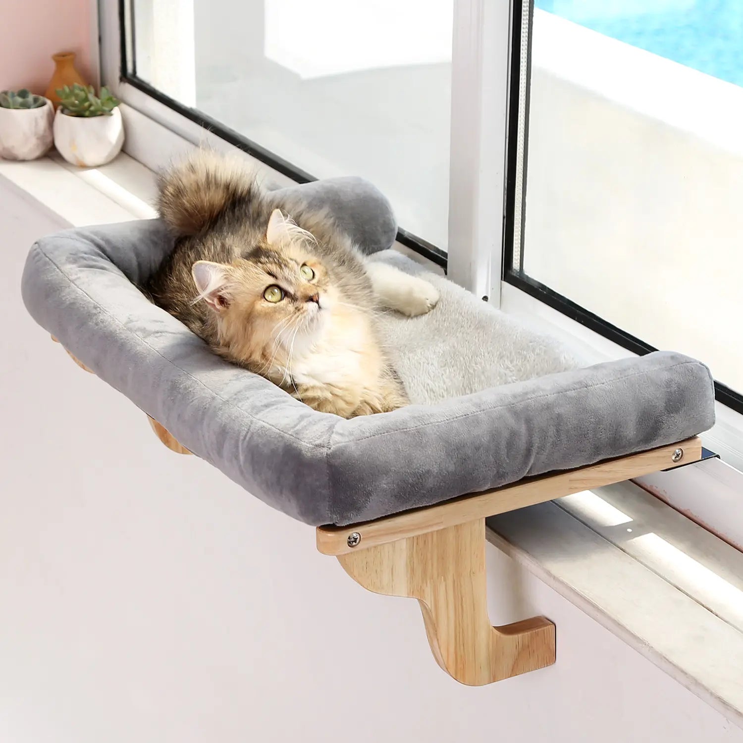 Cat curled up on the orthopedic window seat cushion