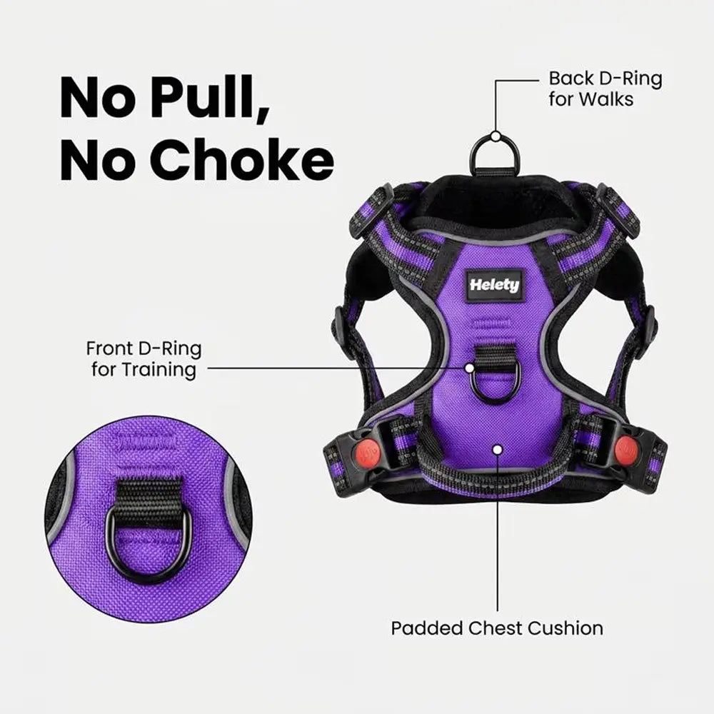 HELETY Purple 3-In-1 No-Pull Dog Vest Harness & Leash Set, Adjustable S-XL Sizes, Dual Front & Back D-Ring Clips, 360° 3M Reflective, Padded Chest, Oxford Fabric, Night Safety, Built-In Poop Bag Holder, Tangle-Free Cooling Step-Design Strap Running Bungee