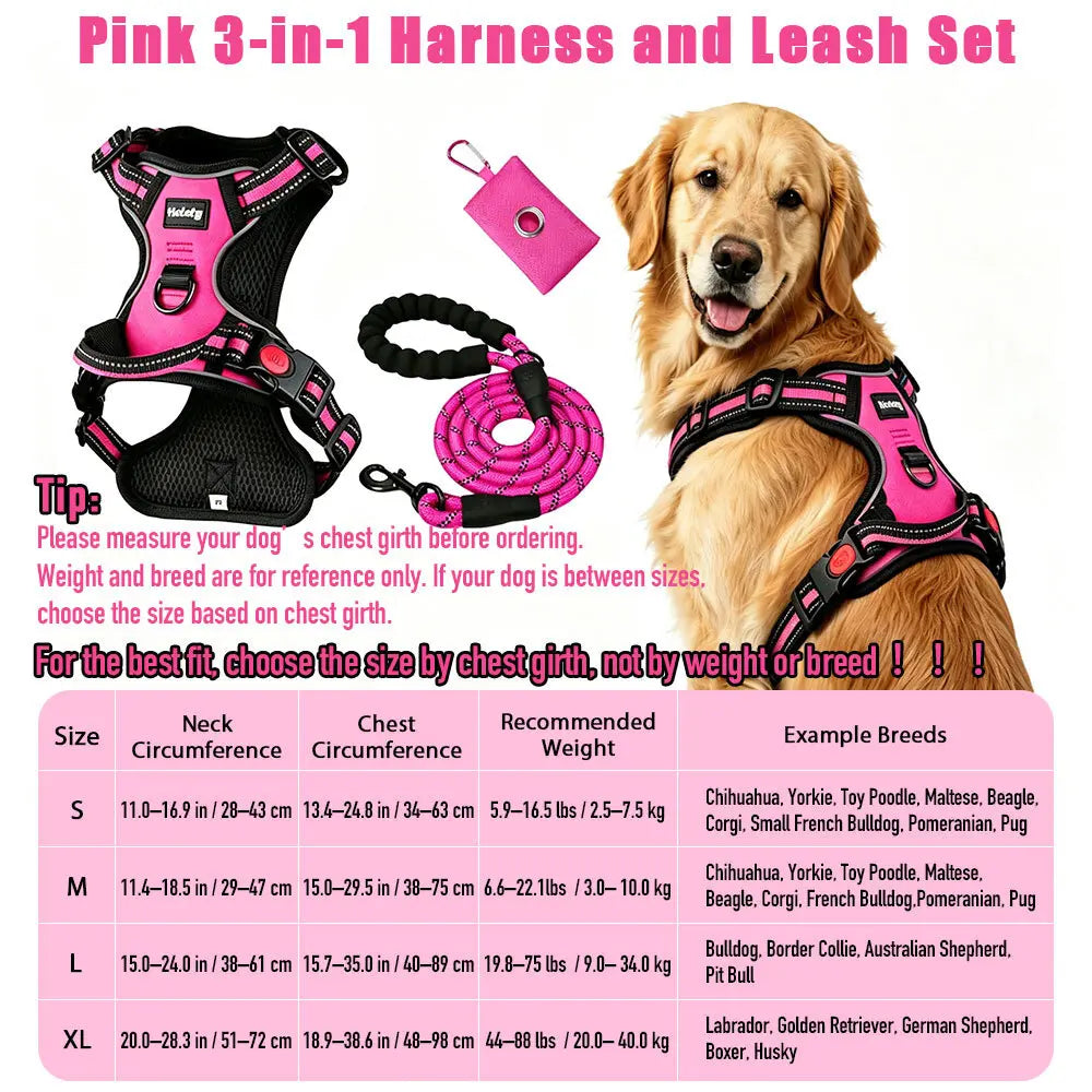 HELETY Purple 3-In-1 No-Pull Dog Vest Harness & Leash Set, Adjustable S-XL Sizes, Dual Front & Back D-Ring Clips, 360° 3M Reflective, Padded Chest, Oxford Fabric, Night Safety, Built-In Poop Bag Holder, Tangle-Free Cooling Step-Design Strap Running Bungee
